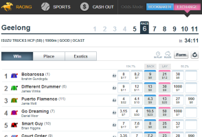 Betfair horse racing - exchange