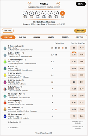 DashBet racing screenshot DashBet racing screenshot