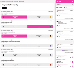 next2go odds and betslip screenshot next2go odds and betslip screenshot