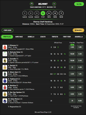 PandaBet racing screenshot PandaBet racing screenshot