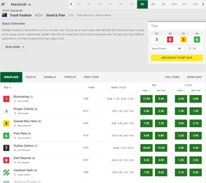 Unibet racing interface